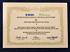 1st Prize, IEEE LifeTech 2020 Excellent Paper Awardの賞状